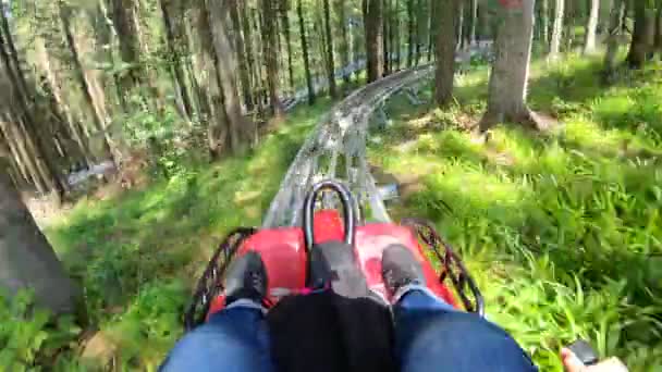 Persoon rijdt in snelle rodelbaan sleeën in de bergen in het bos tussen de bomen — Stockvideo