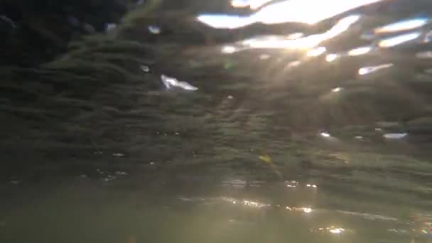 Schnelle Bewegung des Wassers mit beweglichen Sonnenstrahlen auf der Wasseroberfläche und im Wasser. — Stockvideo