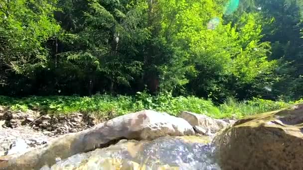 Paesaggio fiume di montagna, montagne, foresta, pietre e cielo blu — Video Stock