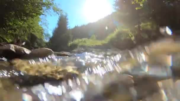 Paesaggio fiume di montagna, montagne, foresta, pietre e cielo blu — Video Stock