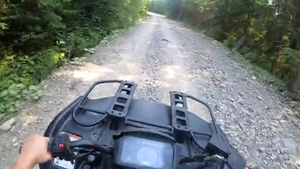 Az ember quad bike-ot vagy ATV-t vezet. POV, felülnézetből. — Stock videók
