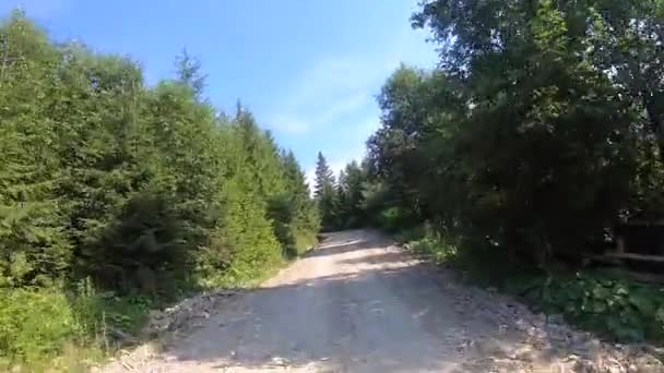 Conducir por el camino de tierra de montaña en verano día soleado. POV — Vídeo de stock