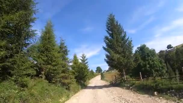 Driving on mountain dirt road on summer sunny day. POV — Stock Video