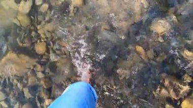 Kız, sığ bir dağ nehrinin kayalık tabanında çıplak ayakla yürüyor.