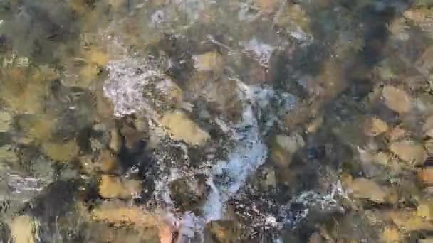 Дівчина розбризкує воду ногою, стоячи у воді мілкої кам'янистої річки — стокове відео