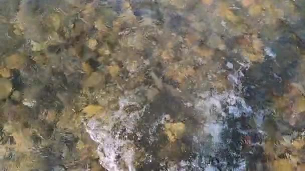 소녀는 얕은 바위투성이의 강에서 서 발로 물을 뿌리고 있다 — 비디오