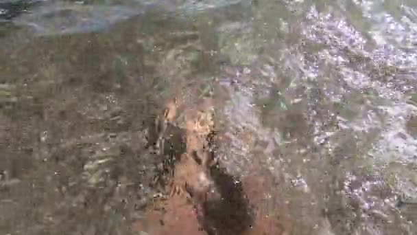 Dois pés femininos estão em água limpa e transparente na praia de areia — Vídeo de Stock