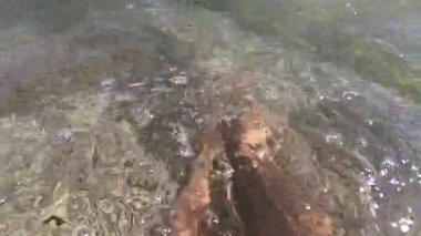 Kumsalda iki kadın ayağı temiz ve şeffaf sudadır.