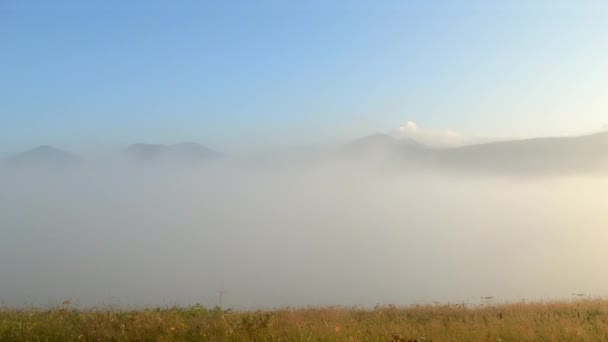 La niebla matutina se disipa en las montañas Cárpatos. Mañana niebla se mueve — Vídeo de stock