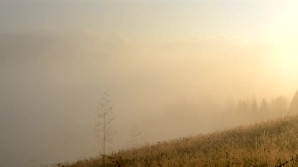 Morning fog dissipates in the mountains Carpathians. Morning fog moves — Stock Video