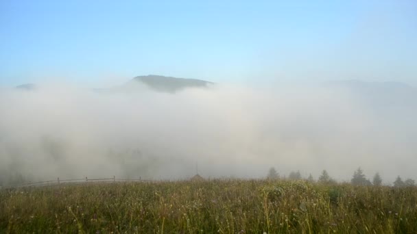 La niebla matutina se disipa en las montañas Cárpatos. Mañana niebla se mueve — Vídeo de stock