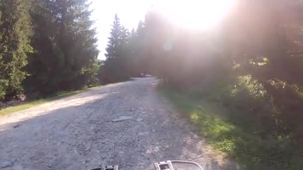 Conducir por el camino de tierra de montaña en verano día soleado. POV — Vídeo de stock