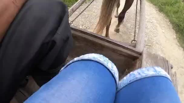 Το άλογο τραβάει μια σεζλόνγκ σε ένα χωματόδρομο μια ηλιόλουστη μέρα — Αρχείο Βίντεο