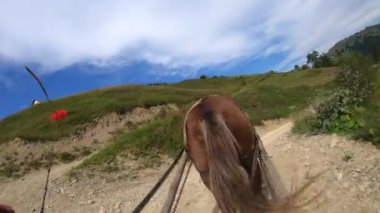 At, güneşli bir günde kirli bir yolda bir şezlong çeker.