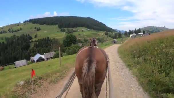 Cheval tire une chaise longue sur un chemin de terre par une journée ensoleillée — Video