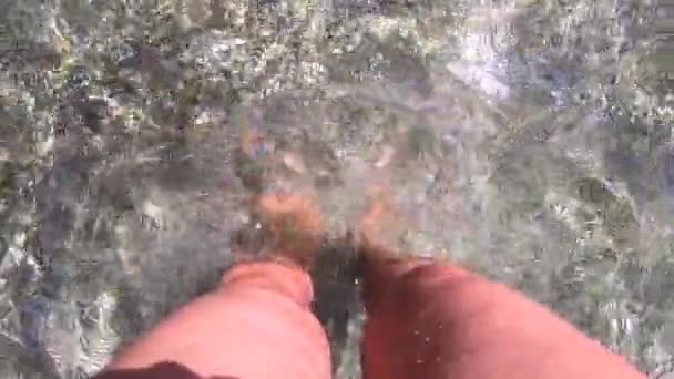 Meisje staat tot haar knieën in het water op het strand met bruin zand en schelpen — Stockvideo