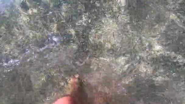 Fille debout genou profond dans l'eau sur la plage avec du sable brun et des coquillages — Video