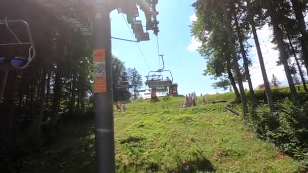 Kabel bil rörelse i skogen — Stockvideo