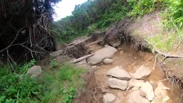 Man climbs up the mountain on a dirt road with stones summer day — Stock Video