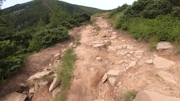 L'homme grimpe la montagne sur un chemin de terre avec des pierres jour d'été — Video