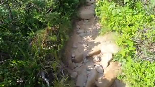De mens beklimt de berg op een onverharde weg met stenen zomerdag — Stockvideo