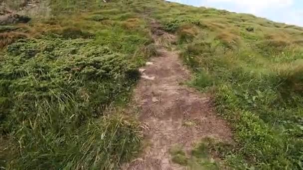 사람은 여름날 돌을 가지고 비포장도로를 따라 산을 올라간다 — 비디오