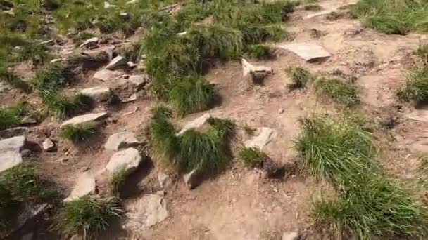 夏天，人类用石头爬上了一条土路 — 图库视频影像