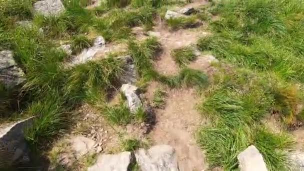 Человек взбирается на гору по грунтовой дороге с камнями летний день — стоковое видео
