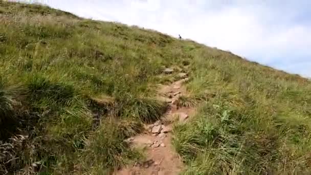 El hombre sube a la montaña en un camino de tierra con piedras día de verano — Vídeos de Stock