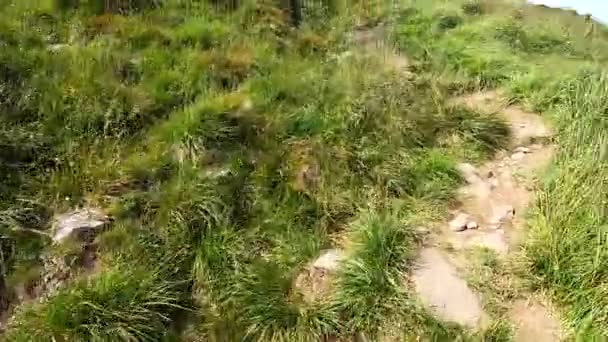 Homem sobe a montanha em uma estrada de terra com pedras dia de verão — Vídeo de Stock