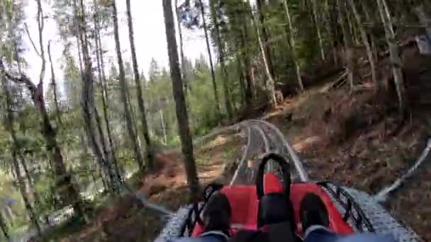 Άνθρωπος βόλτες σε γρήγορα Rodelbahn έλκηθρο στα βουνά στο δάσος ανάμεσα στα δέντρα — Αρχείο Βίντεο