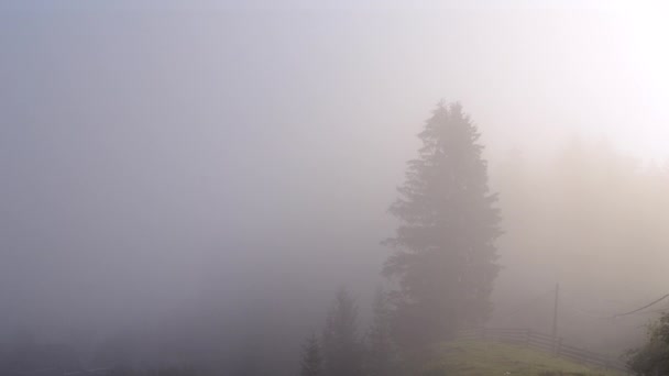 Niebla de la mañana se disipa en las montañas — Vídeos de Stock