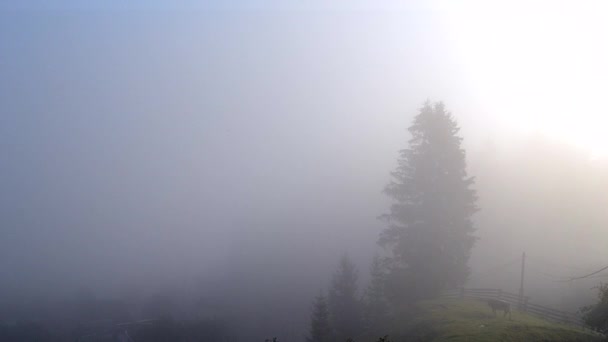 La nebbia mattutina si dissipa in montagna — Video Stock