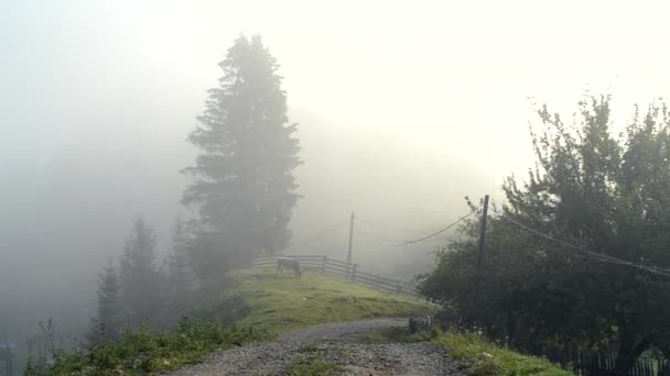 Le brouillard du matin se dissipe dans les montagnes — Video