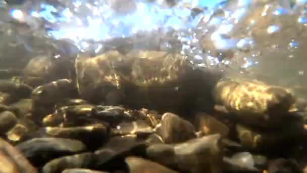 L'eau coule dans une rivière de montagne — Video