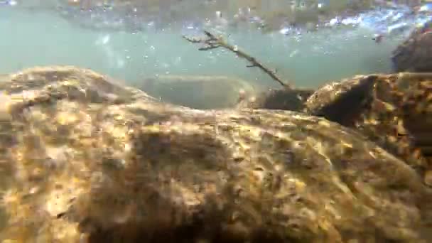 Water stroomt in een berg rivier — Stockvideo