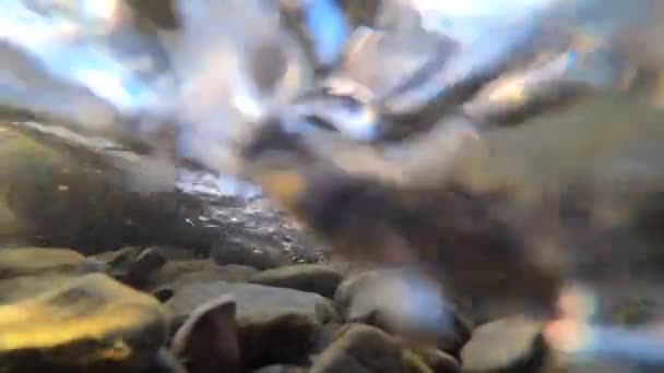 Water stroomt in een berg rivier — Stockvideo