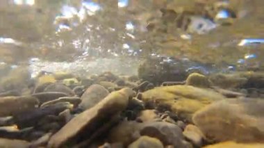 Dağ nehrinde su akar. Su akışı içinde çekim yapmak.