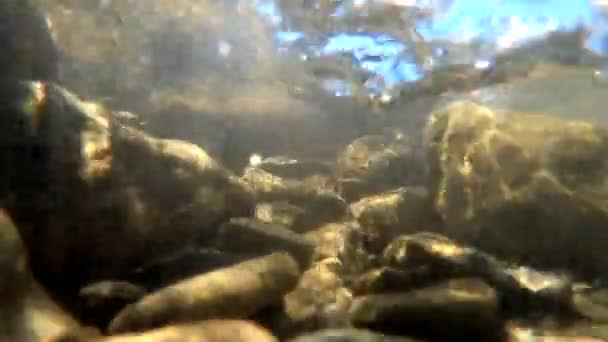 El agua fluye en un río de montaña — Vídeos de Stock