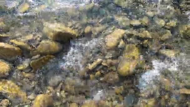 Natural background. Water flows over stones at the bottom of a shallow river — Stock Video