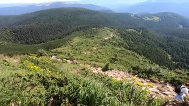 Sıcak bir yaz gününde Karpatlar 'ın panoramik manzarası