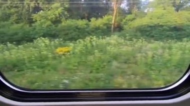 Manzara alanları ve demiryolu treninin penceresinden dağlar