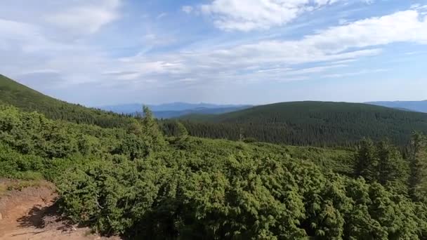 Vue panoramique sur les Carpates par une chaude journée d'été dégagée — Video