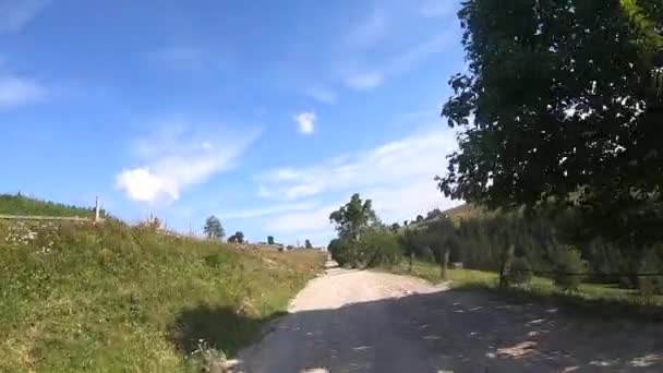 Jízda na horské cestě za letního slunečného dne. POV — Stock video