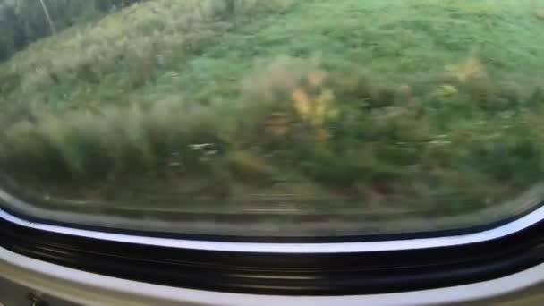 Snel bewegend zicht vanuit het treinraam — Stockvideo