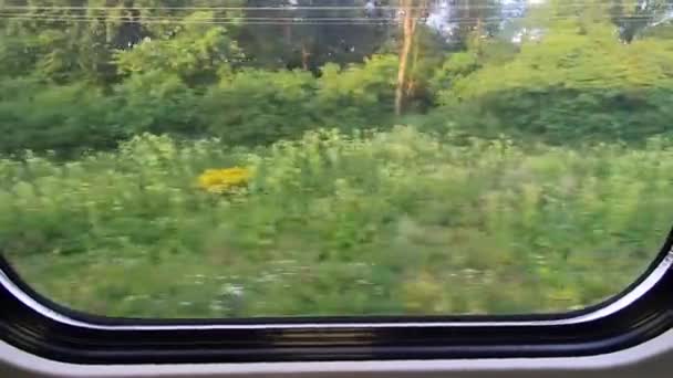 Paisaje paisajes campos y montañas desde la ventana del tren ferroviario — Vídeo de stock
