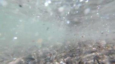 İçeriden deniz dalgaları, deniz yatağı, sığ kumlu deniz kıyısında suyun altında..