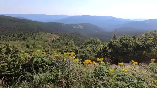 Panoramiczny widok na Karpaty w ciepły, przejrzysty letni dzień — Wideo stockowe