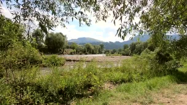 Вид на гірський пейзаж з тече річкою в сонячний літній день — стокове відео