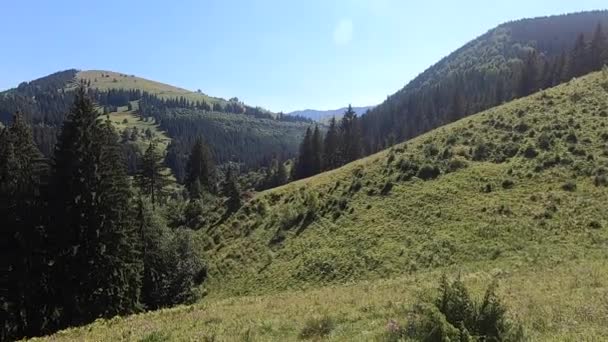 Panoramisch uitzicht op het Karpaten gebergte op een warme heldere zomerdag — Stockvideo